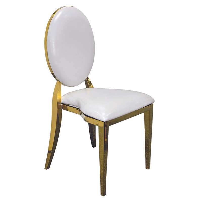 Gold Rim Luxury Dior Chair For Sale-1-Rosetone